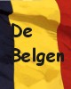 Vlag van België